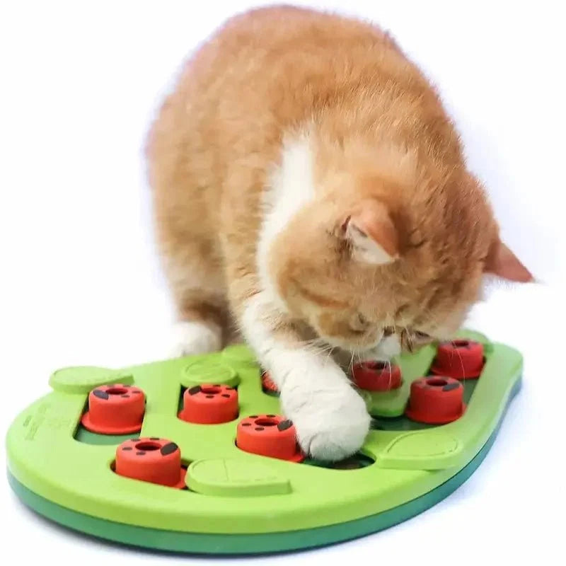 Jouet Intéressant pour Chat - Puzzle Friandises