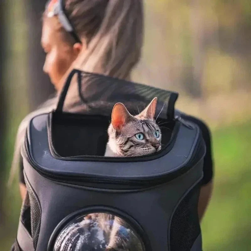 Sac à Dos Astronaute pour Chat - Vision Panoramique