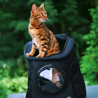 Sac à Dos Astronaute pour Chat - Vision Panoramique