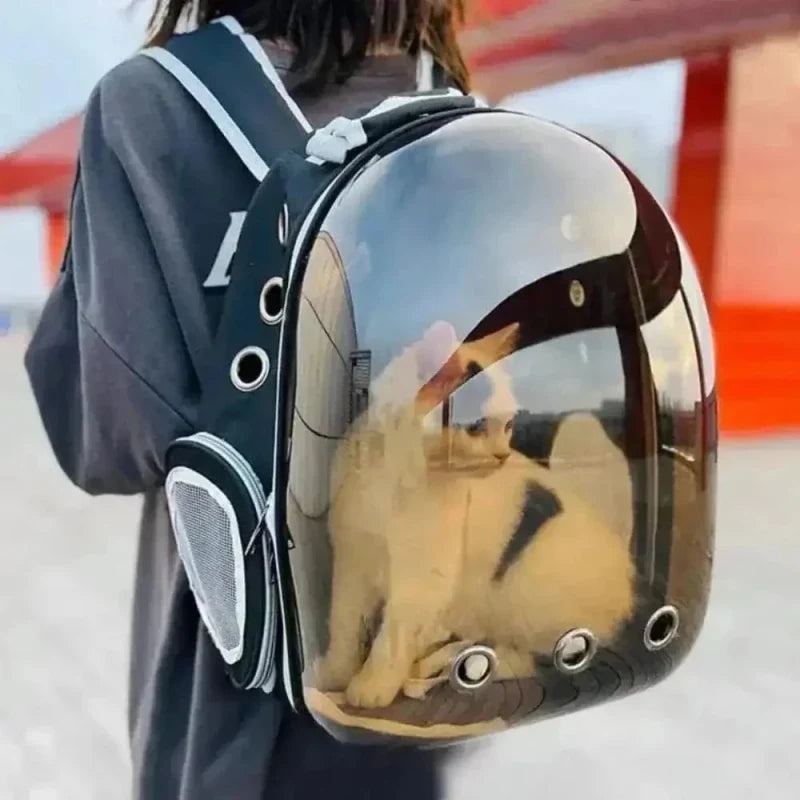 Sac à Dos Bulle Chat - Vue Panoramique 180°