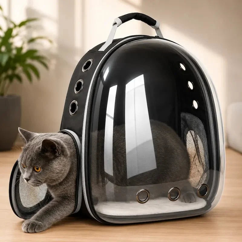 Sac à Dos Bulle Chat - Vue Panoramique 180°