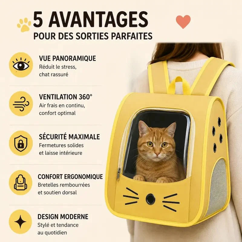 Sac de Transport Chat Transparent et Confortable