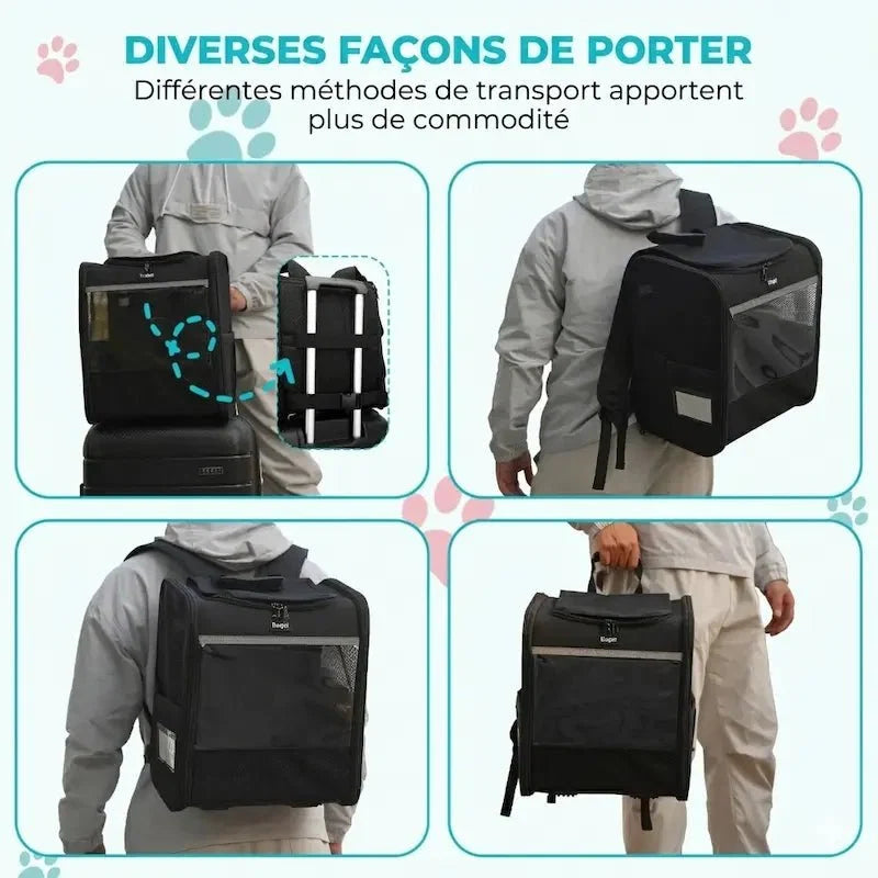 Sac à Dos Chat XL Ventilé et Confortable