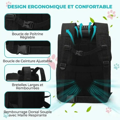 Sac à Dos Chat XL Ventilé et Confortable