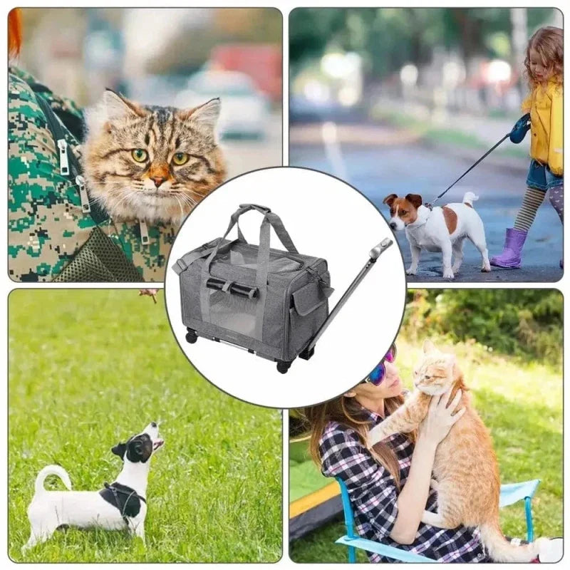 Sac de Transport Chat à Roulettes - Pratique et Spacieux