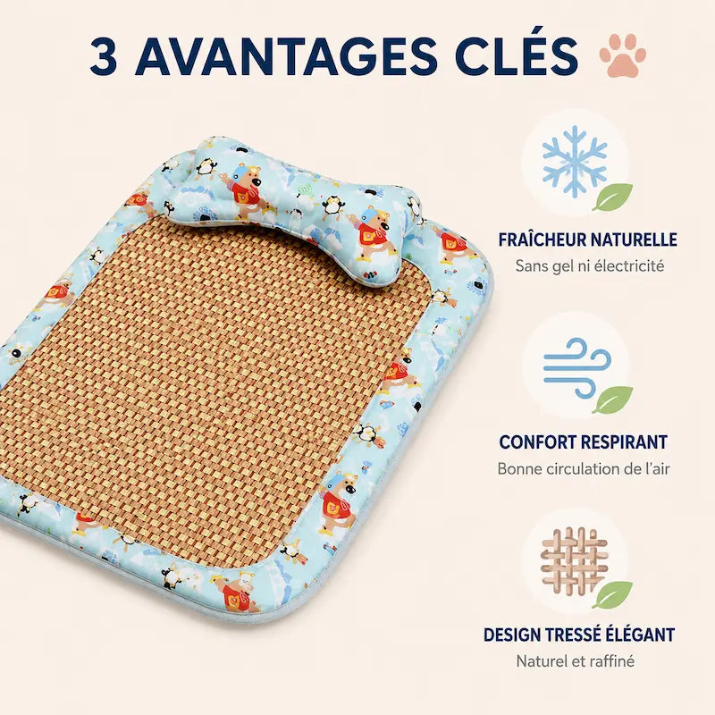 Tapis Litière Chat Rafraîchissant en Rotin