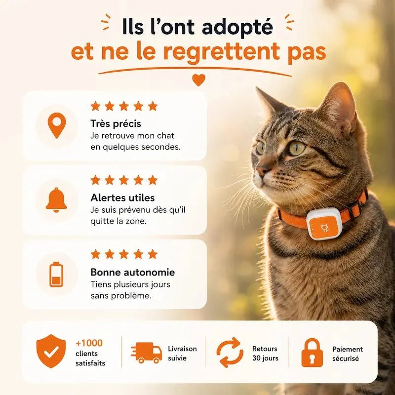 Traceur GPS Chat 4G - Suivi en Temps Réel