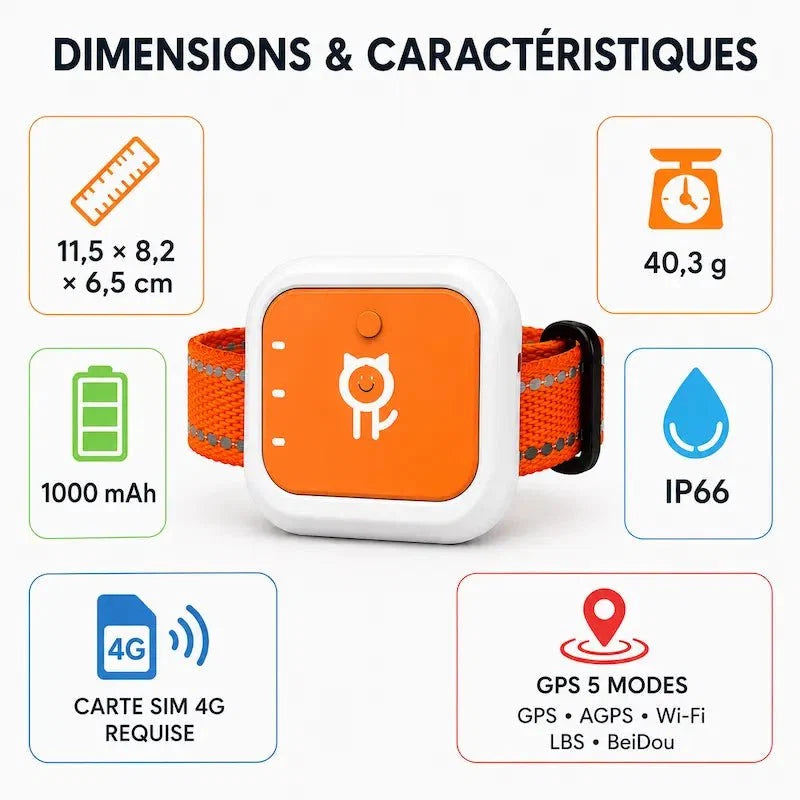 Traceur GPS Chat 4G - Suivi en Temps Réel