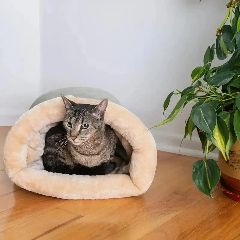 Tunnel Douillet pour Chat - Nid de Couchage Confort