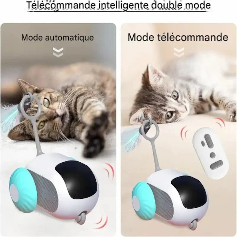 Jouet Télécommandé Chat - Amusement Assuré